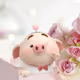 Cute_Pig_NFT Collection