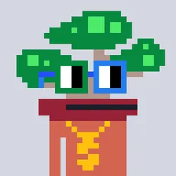 78488644150684649014909604869563391189662917934817949685889446842682058997761