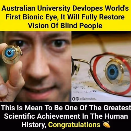 Untitled Collection #3328410 - old