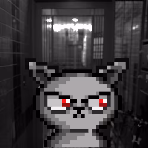 63170767654901927964852848505921354456488158057017135715885673629104488841217