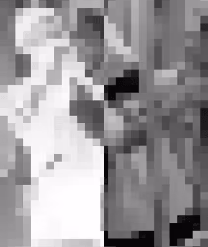 Another White