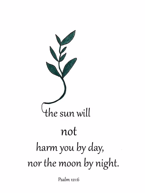 Item #2598078292416912400154953852394459455352010003858610416110553726452584415233 Media
