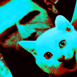 4747115153065902387790593868107453782499677024781155622119190045577009168385