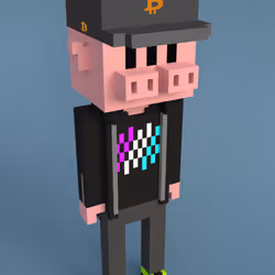 15745155036080216906225686985478121679316415217293615372084029366770228789249