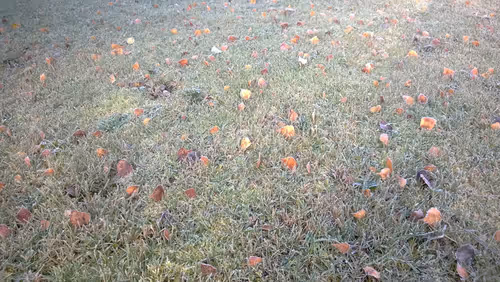 Item #52895557054077878382104802534352742176621658292506660955636510191863658971137 Media