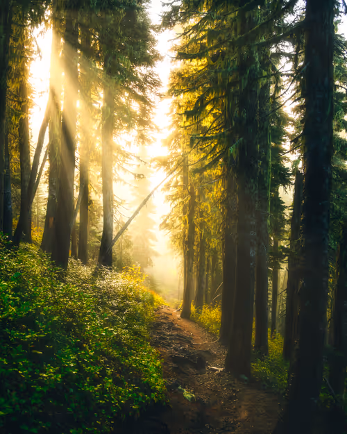 Item #99379921276153973634104125152908526548510783699959858376338453599693360332801 Media