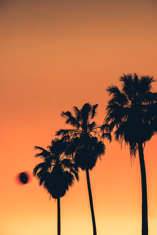 Somewhere Else: 092 - Swish