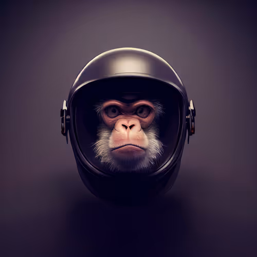 Item #61113754682338237329218241278723179285624197842437990369907456667529798221825 Media