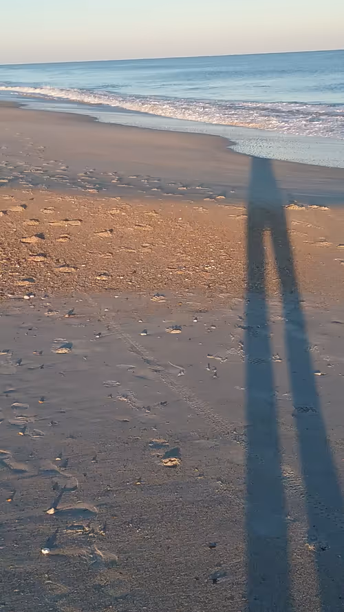 Item #31034686218974135791742659771557221930689516022793275851118188456454851133441 Media