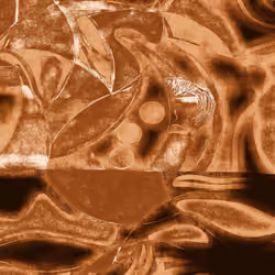 Complexity