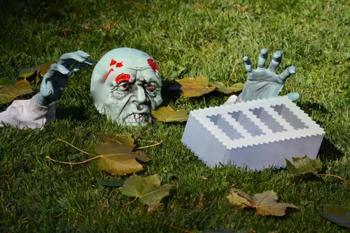 Item #54592082719803053098543928044698800442533756316367598168258736687846722109441 Media