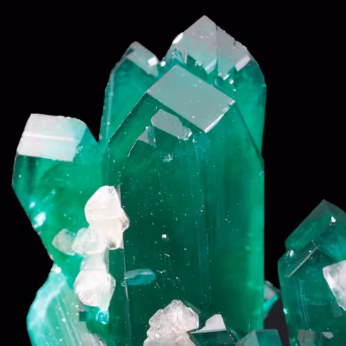 Adoggnasty778 Collection