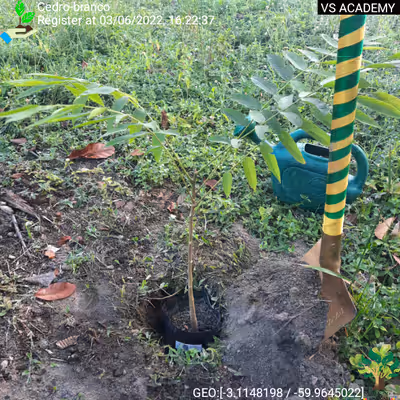 Item #8500196597889277390194123329501889087166328879864934763448348797328034889729 Media