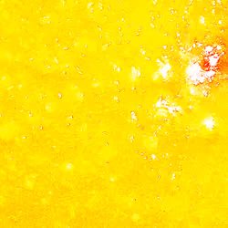SUNDIPPL#M