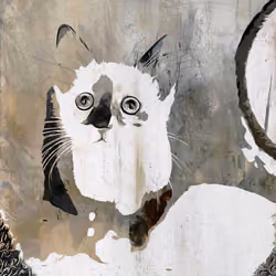 KITTZ2