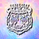 17817049064134672233408586610987268411602671916171875671042586918743212818433
