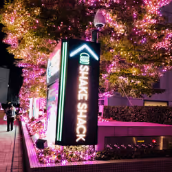 SHAKE SHACK