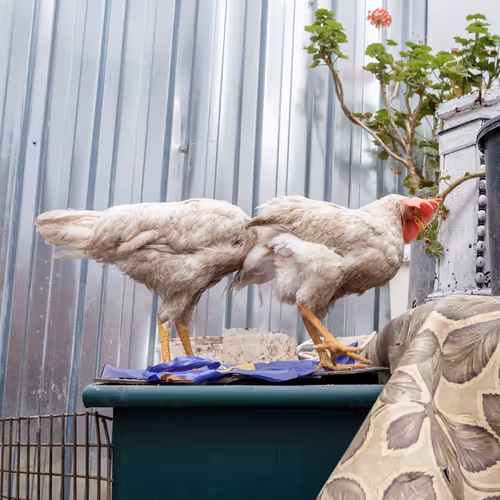 45698053960438807051727633621105073210005053048443120307747772228134682755073