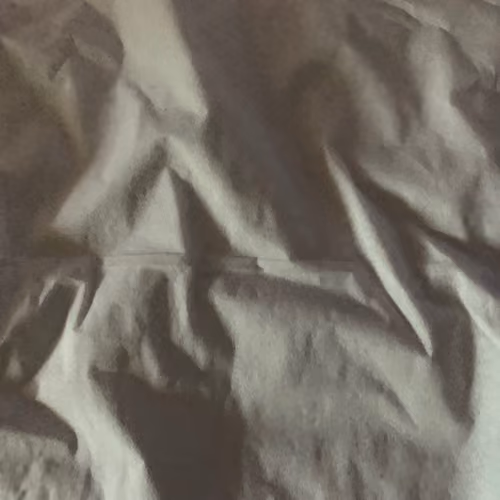 SEXY TISSUE #1