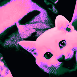 4747115153065902387790593868107453782499677024781155622119190046676520796161