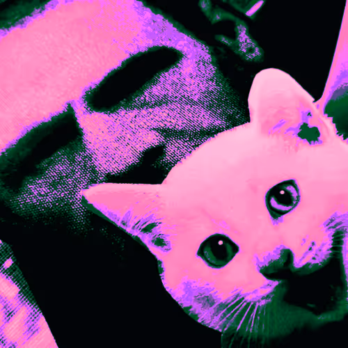 4747115153065902387790593868107453782499677024781155622119190046676520796161