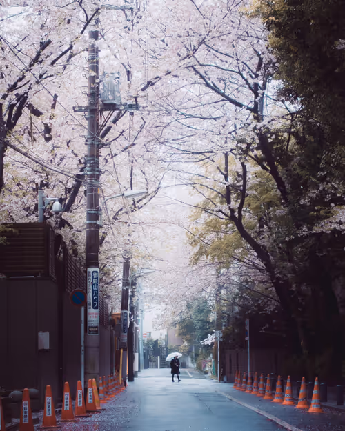 Item #84492978198119788081858584857369630260874381154171846651703266078604197363713 Media