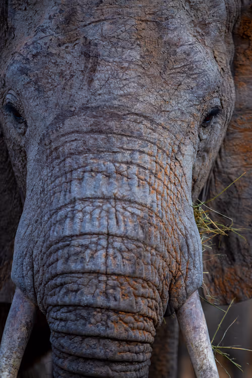 Item #97390858549290517915673057044451120522321858296040786888435299460597933932545 Media