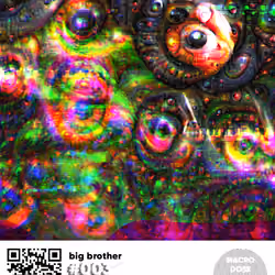 BIG BROTHER #003