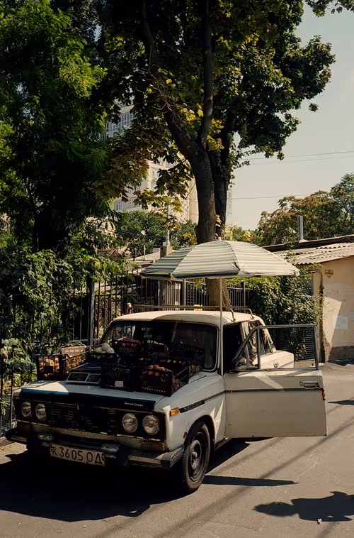 Item #98005874063086952784788628439197826676066382464840560618238063436347033518081 Media