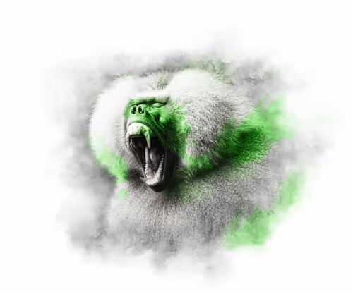 Item #59088353916634911645199901135540098457890710800918991321684793772295254442015 Media