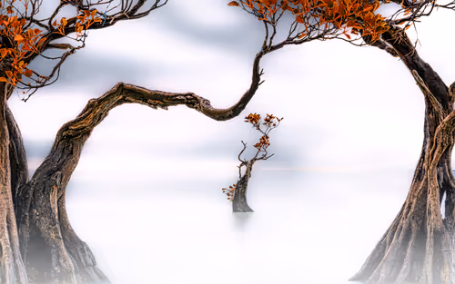 Item #13530196008563854885734701645489239893445931623828964503452581737805262094337 Media