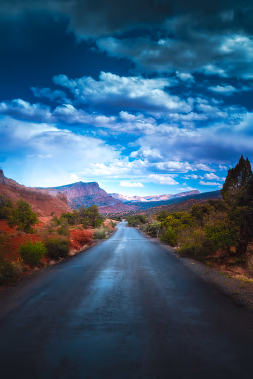 Item #62546128571173573861370652936856218284243546780344801453551937532211595575297 Media