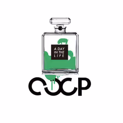CxCxCxP A DAY IN THE LIFE