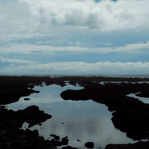 CairoNooo Collection