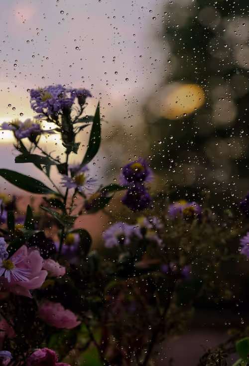 Item #60517015273015201167448896959818064210390269083404328919055338545865161703425 Media