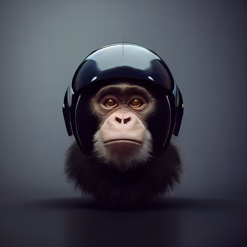 Item #61113754682338237329218241278723179285624197842437990369907456644440054038529 Media