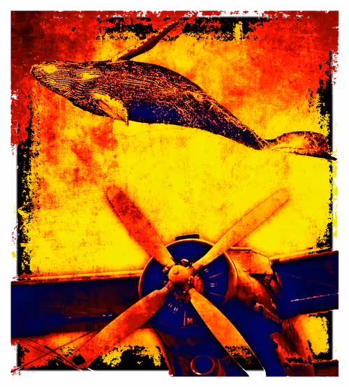 Item #104099004194732186528107260891908231378147874233508203101203207568717676281857 Media