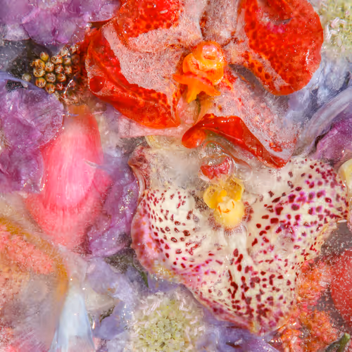 Item #80829721372825377784010953381890255518558028243098186913878117608017409081345 Media