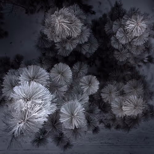 Item #55396979496544417469792883121952566872796951856674190010796140015953257693185 Media