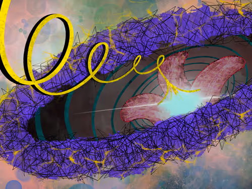 Item #71540376503307699237762999139551421214339771264022739504706762179168476069889 Media