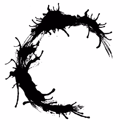 Item #17488639140696156093754391439722344275319932774812941756919499470742568828929 Media