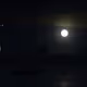88078011514929848834151632020826632579179482378238212886681009956591931228161