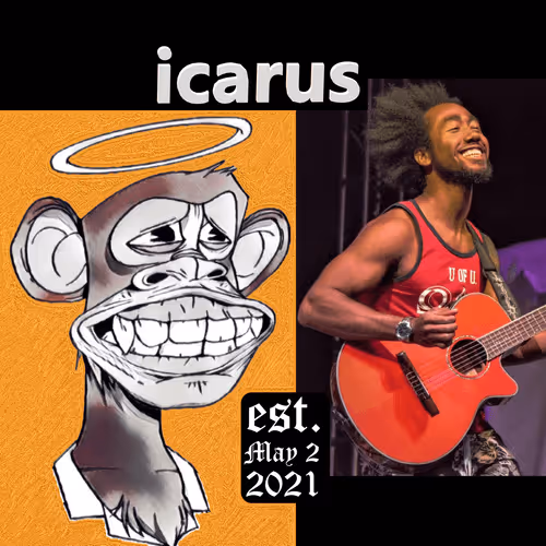 Bored Ape Combat Veterans