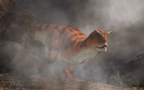 Item #15201862250514145958676777466825728141953005429687029988591517061201216405505 Media