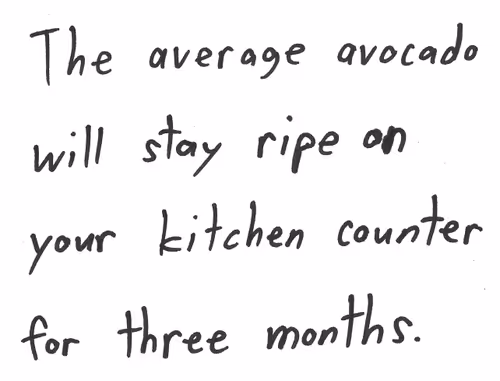 Item #56836866372284245272053052741954891273425498214946692072436553577313798717441 Media