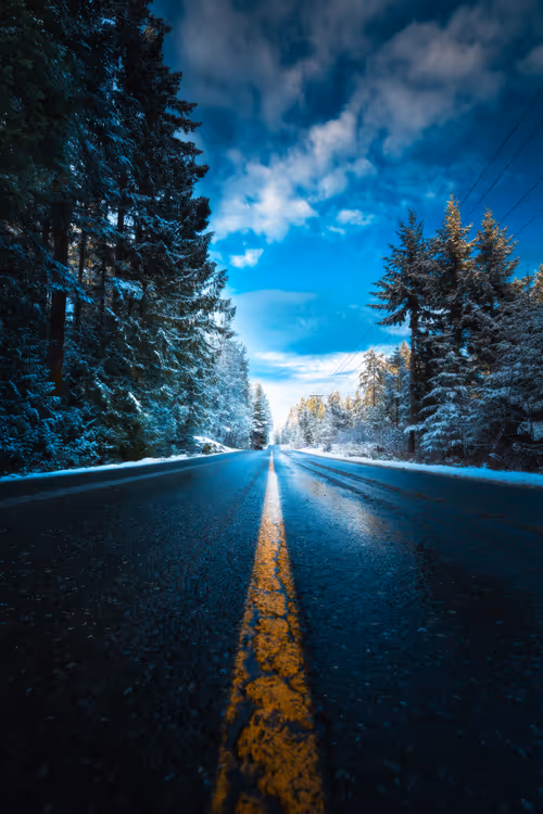 Item #62546128571173573861370652936856218284243546780344801453551937516818432786433 Media