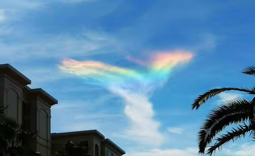 Item #115375755332542330133237168944702422006973148153706349190887072630608119201793 Media