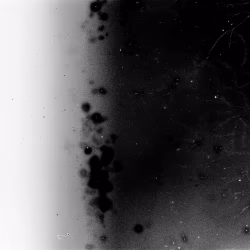 Lifeincelluloid