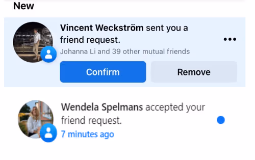 paywithhackness Collection