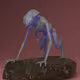 Special Editions for MetaEgg Rewards